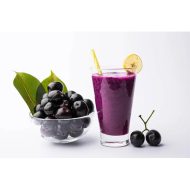 Profruitin-Frozen-Jamun-Pulp Profruitin-Frozen-Jamun-Pulp